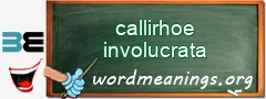 WordMeaning blackboard for callirhoe involucrata